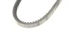 Ремінь клиновий AVX 13X800 (вир-во) C.I.U Gates 6462MC (фото 4)