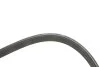 Ремінь генератора Volvo C70/S40/S80/S70/V70/XC70/XC90 1.6-3.0 95-14 GATES (opt-om) Gates 6DPK1838 (фото 4)