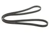 Ремінь генератора Volvo C70/S40/S80/S70/V70/XC70/XC90 1.6-3.0 95-14 GATES (opt-om) Gates 6DPK1838 (фото 5)