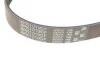 Ремінь поліклін. 6PK1019 (вир-во) Gates 6PK1019SF (фото 3)
