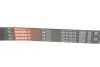 Ремінь поліклиновий MB C180-250/14- -ua Gates 6PK1073 (фото 3)