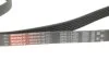Ремень поликлиновый MERCEDES-BENZ SPRINTER SERIES Gates 6PK1124SF (фото 2)