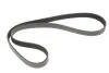 Ремень поликлиновый MERCEDES-BENZ SPRINTER SERIES Gates 6PK1124SF (фото 4)