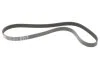 Ремінь поліклиновий (Вир-во) C.I.U Gates 6PK1178 (фото 1)