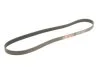 Поліклінові ремені Micro-V StretchFit (Вир-во) Gates 6PK1249SF (фото 2)