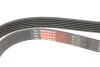 Поліклінові ремені Micro-V (Вир-во) Gates 6PK1525 (фото 4)