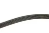 Поліклінові ремені Micro-V (Вир-во) Gates 6PK1583 (фото 3)
