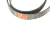 Поліклінові ремені Micro-V (Вир-во) Gates 6PK1583 (фото 4)