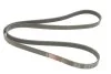 Поліклінові ремені Micro-V (Вир-во) Gates 6PK1780 (фото 4)