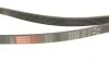 Ремінь поліклін. 6PK2080 (вир-во) Gates 6PK2083 (фото 3)