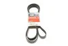 Ремінь поліклін. (Вир-во) Gates 6PK2490