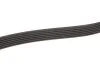 Поліклінові ремені Micro-V (Вир-во) Gates 6PK2500 (фото 4)