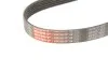 Поліклінові ремені Micro-V StretchFit (Вир-во) Gates 6PK873SF (фото 5)