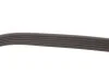 Ремень поликлин. CHEVROLET (пр-во) Gates 6PK883 (фото 4)
