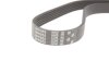 Ремінь поліклін. C.I.U Gates 6PK955 (фото 2)