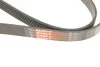 Поліклінові ремені Micro-V (Вир-во) Gates 6PK970 (фото 5)