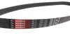 Ремінь поліклін. C.I.U Gates 7PK1103 (фото 2)