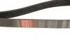 Поликлиновые ремни Micro-V (Пр-во) Gates 7PK1570 (фото 5)