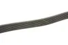Поліклінові ремені Micro-V XS (Вир-во) Gates 7PK1685XS (фото 3)