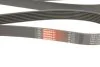 Поліклінові ремені Micro-V (Вир-во) Gates 7PK1750 (фото 5)