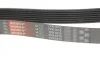 Поліклінові ремені Micro-V (Вир-во) Gates 7PK1810 (фото 3)
