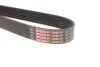 Поліклиновий ремінь Micro-V C.I.U Gates 7PK2020XS (фото 2)