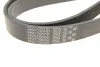 ПОЛИКЛИНОВЫЙ РЕМЕНЬ Gates 8PK1795HD (фото 5)