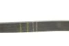 Ремень поликлиновый BMW 3 SERIES/5 SERIES/7 SERIES Gates 8PK942EST (фото 3)