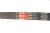 Ремень поликлиновый BMW 3 SERIES/5 SERIES/7 SERIES Gates 8PK942EST (фото 5)