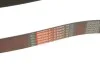 Ремінь генератора BMW X1 (F48)/X2 (F39) 20- B38 (8PK954) GATES (opt-om) Gates 8PK954EST (фото 4)