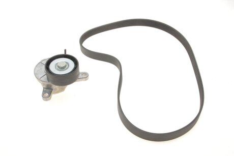 Роликовий модуль натягувача ременя (ролик, ремінь) VAG 1.6TDI, 2.0TDI/11- Gates K016PK1025 (фото 1)