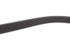 Роликовий модуль натягувача ременя (ролик, ремінь) OPEL (OEM 4431674) -ua Gates K017PK1740 (фото 9)