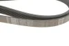 Поликлиновые ремни Micro-V (Пр-во) Gates K061015 (фото 3)
