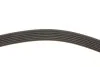 Комплект ременя генератора Citroen Jumper/Peugeot Boxer 2.2 HDi 11- (6PK1640) GATES (opt-om) Gates K166PK1640 (фото 10)