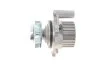 Ремкомплекти приводу ГРМ автомобілів з водяним насосом PowerGrip Kit (Вир-во) Gates KP15491XS (фото 9)