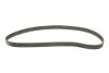 Ремкомплекти приводу ГРМ автомобілів з водяним насосом PowerGrip Kit (Вир-во) Gates KP25491XS (фото 2)