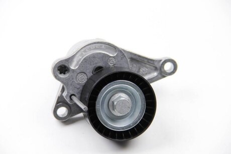 Ролики натягувачі приводу допоміжних агрегатів Gates T38311