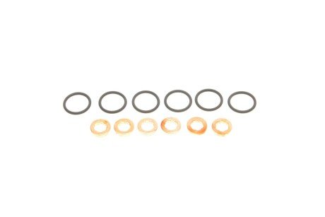 Ремкомплект форсунки Audi A4/A6 2.5 TDI 97-05 (к-кт 6 шт.)) (opt-om) GAZO GZ-A1034