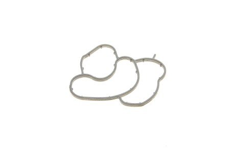 Прокладка корпуса фільтра масляного BMW X3 (E83) 2.0i 05-11 UA63 GAZO GZ-A1503