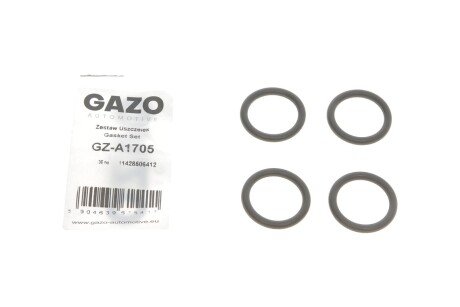 Прокладка фільтра масляного BMW 1 (E87)/3 (E90)/5 (E60)/X1/X3 2.0D 03-15 N47 (к-кт) UA63 GAZO GZ-A1705