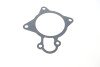 Прокладка помпи води Citroen Jumper/Fiat Ducato/Peugeot Boxer 3.0 HDi 06- (opt-om) GAZO GZ-A2037 (фото 2)
