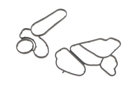 Прокладка корпуса фільтра масляного (к-кт) BMW X5 (E53/E70) 3.0 d (M57) 03-10 (opt-om) GAZO GZ-A2416