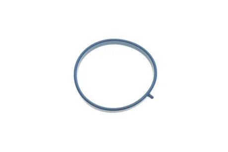 Прокладка впускного колектора Ford Focus II/Fiesta/Mondo III/Mazda 3/6 1.8/2.0 04- (opt-om) GAZO GZ-A2820