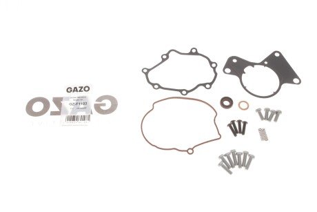 Ремкомплект вакуумного насоса GAZO GZ-F1103