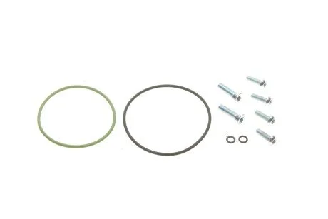 Ремкомплект насосу вакуумного Audi A6/A8/Q7/VW Touareg 2.7-4.0 TDI 97-05 (opt-om) GAZO GZ-F1142