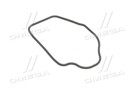 Ущільнювач C.I.U GM 09157001