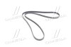 Ремінь приводний поліклінової DAEWOO/CHEVROLET MALIBU, CAMARO, COLORADO GM 12664598 (фото 3)