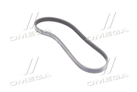 Ремінь GM 25183061