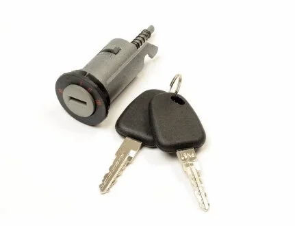 Комплект личинок замка GM 95710800