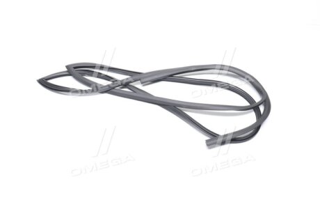 Молдинг лобового скла GM 96314513